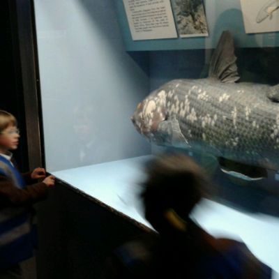 IMG202203311052341)