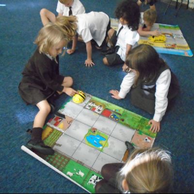 Programming Bee Bots