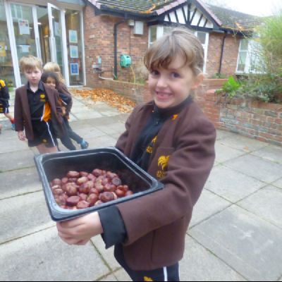 Year 1 & Year 2 Conker Competition