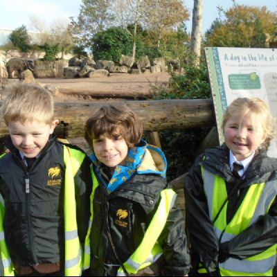 Adventures at Chester Zoo