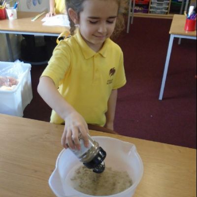 How Clean are our Hands