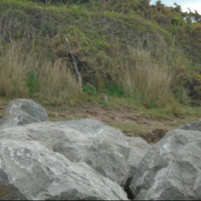 DSC05762