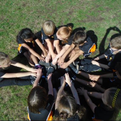 Working as a Team