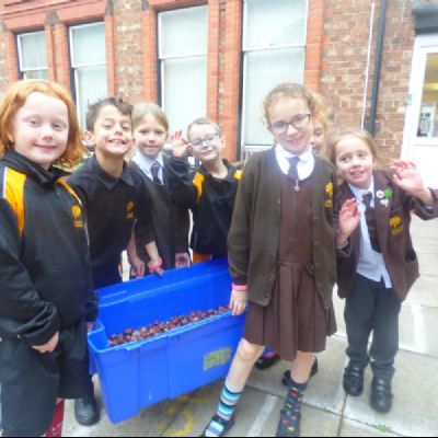 Year 1 and Year 2 Conker Competition
