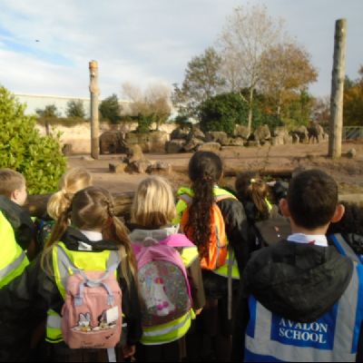 ChesterZoo1