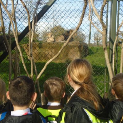 ChesterZoo2