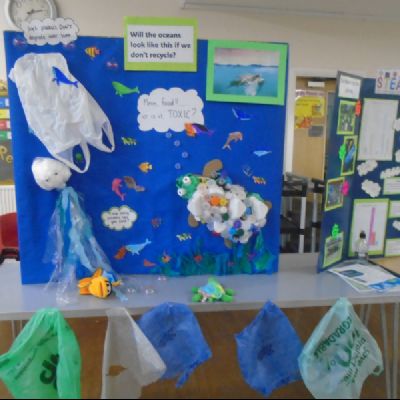 STEAM Week - Display