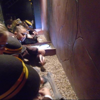 Roman Experience Museum