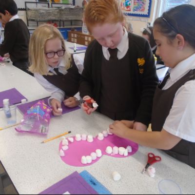 Investigation our Teeth