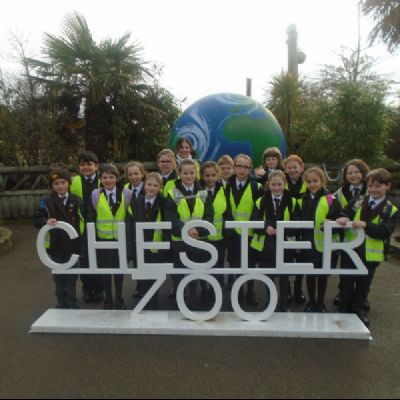 Fun Day Out at Chester Zoo